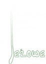Samorządowa Szkoła Muzyczna I - go stopnia w Jeżowem 